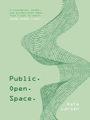 cover image of Public. Open. Space